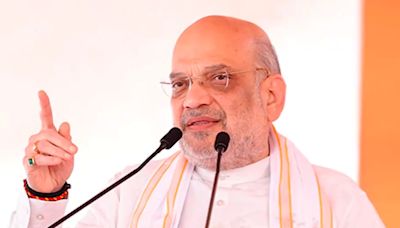 'Distasteful': Shah on Kharge's 'won't die till...' remark