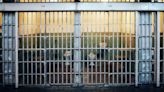 ACLU warns Trump win would herald 'new era of mass incarceration'