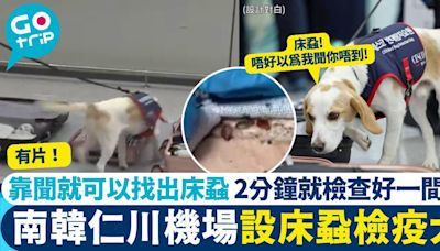 有片！南韓機場設床蝨檢疫犬 靠聞就可以找出床蝨