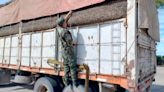 Gendarmería detectó en Córdoba camiones que transportaban más de 400 toneladas de granos con irregularidades en la documentación