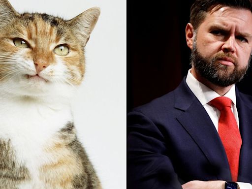 FYI, JD Vance Isn't The First Man To Resent Cat Ladies — They've Always Been Politicized