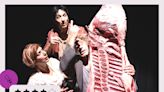 Estrenos de teatro. Carniceros de la lírica: palabras cuidadas, evocación y un grotesco que salta del humor a consideraciones filosóficas