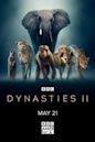 Dynasties 2 - L'avventura della vita