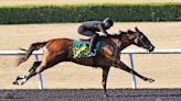 Twirling Candy Filly Works Fastest Quarter at OBS June