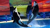 SeaWorld Entertainment changes name, stock ticker
