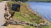 Why Halifax is eyeing goose poop at its 19 supervised beaches