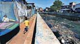 BMC has not done desilting work in key lakes for a decade: RTI reply