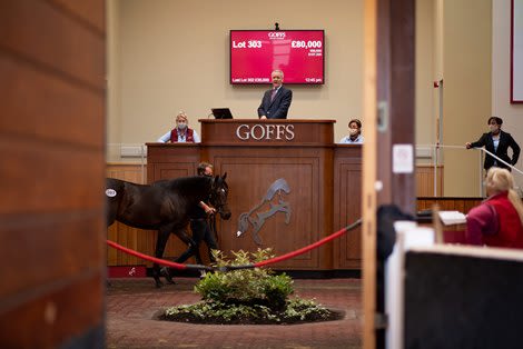 Goffs Doncaster Sale Returns Bigger After Record Year