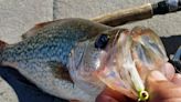 Speck bite getting stronger in Polk as bites being reported at more lakes