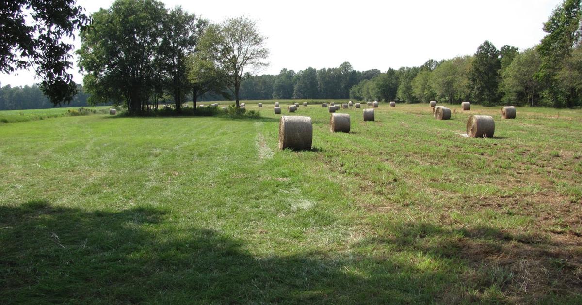 Vanishing farmland in North Carolina helped by $8.8M in grants