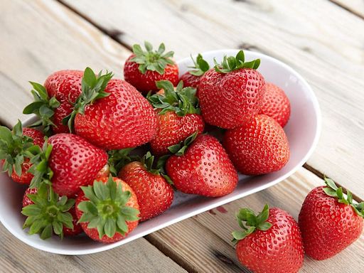 British strawberries delayed but will be ‘worth the wait’, say producers