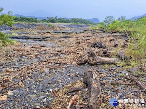 南投雲林彰化三縣漂流木 暫不開放自由撿拾