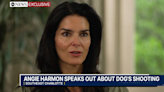 Angie Harmon sues Instacart and delivery driver