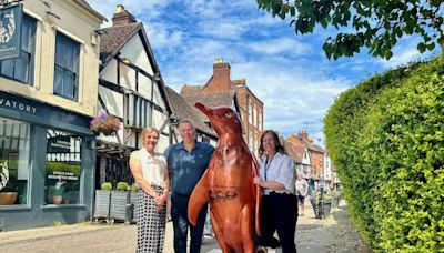 Investment firm backs hospice's penguin auction