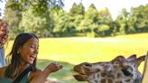 Pygmy goat habitat to be unveiled at Binder Park Zoo as it opens for 2024