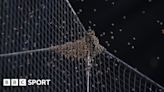 Bee swarm halts Arizona Diamondbacks v LA Dodgers MLB match