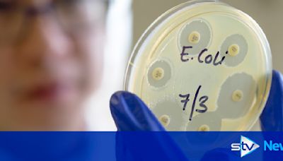 Legal action started against Tesco and Asda over E. coli outbreak