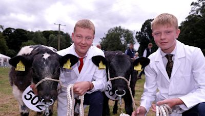 Quality cattle and sheep on display at Clogher Valley Show