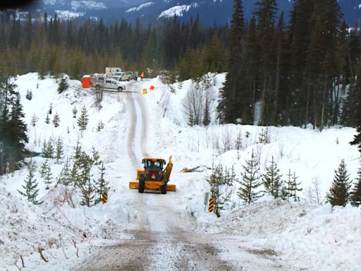 B.C. hereditary chief gets house arrest for pipeline blockade