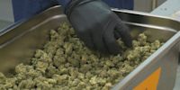 Ohio recreational marijuana sales expected to start Tuesday, state official says