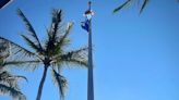The prestigious 'Blue Flag' designation: Delray's beachfront among the best in the world
