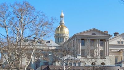 Legislators Discuss Possible Constitutional Amendment Change at NJSBA Event | New Jersey Law Journal