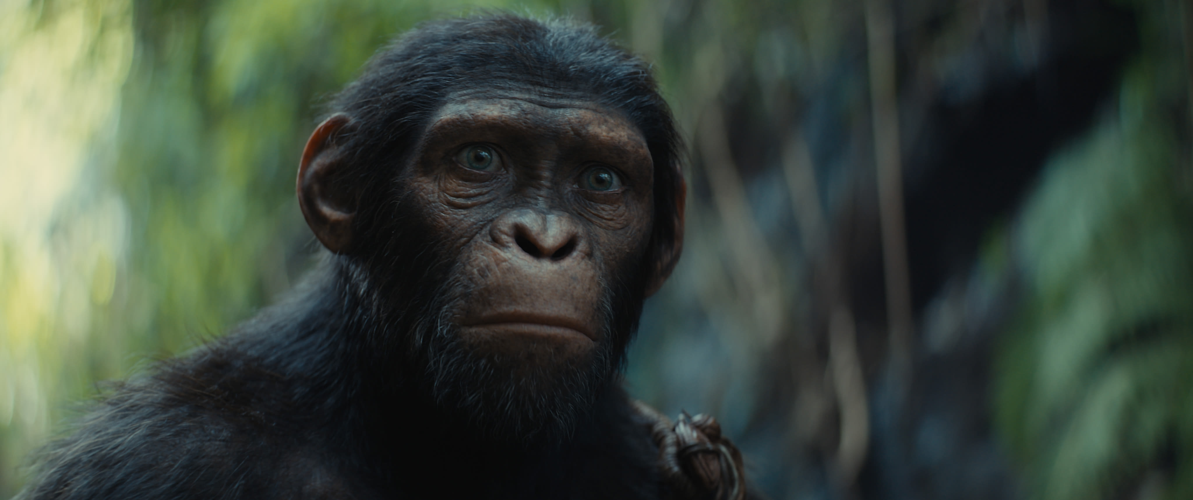 ‘Kingdom Of The Planet Of The Apes’ Evolving Towards $125M+ Global Debut – International Box Office