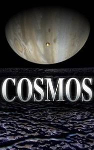 Cosmos