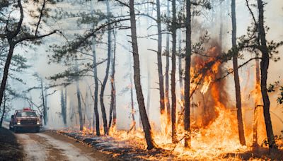 Wharton State Forest wildfire was started by fireworks, New Jersey fire service says