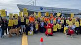 Flight attendants demonstrate worldwide for day of action