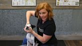 Animal Cracker: Moorhead chiro treats humans, but is certified to work on four-legged friends, too