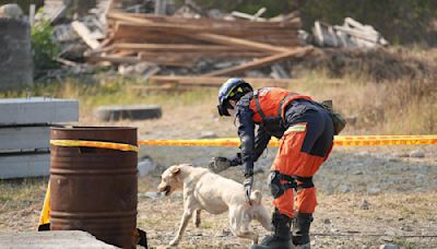 任務圓滿結束！搜救犬木蘭病逝 領犬員不捨淚別 | 蕃新聞