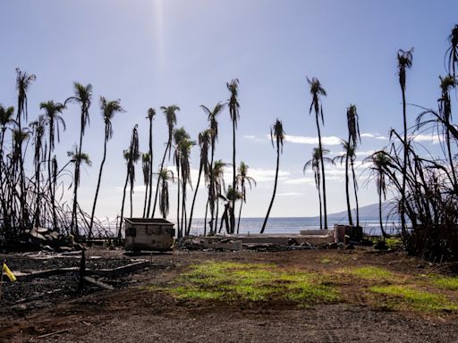 Oprah Winfrey and Dwayne Johnson pledged $10M for Maui wildfire survivors. They gave much more.