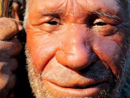 Hallazgo: neandertales que coexistieron 50.000 años ignorándose por completo