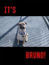 It's Bruno!