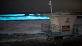 WATCH: Bioluminescent waves crash at Torrey Pines Beach