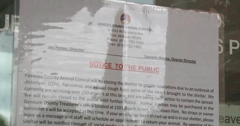 Genesee County Animal Control foresees virus closure to last through next week