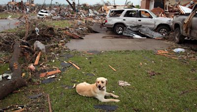 By the numbers: A look back at the tornado outbreak of April 27, 2011