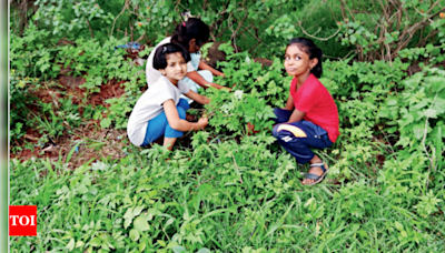 A growing fondness for wild veggies that spring up in Western Ghats forests | Kolhapur News - Times of India