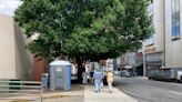 See the design concepts for a new public restroom facility in downtown Asheville