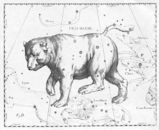 Ursa Major