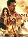 Baaghi 3