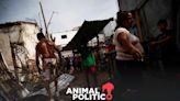 “¿Dónde está el gobierno?”: la ausencia de autoridad y la lenta entrega de víveres generan caos en Acapulco