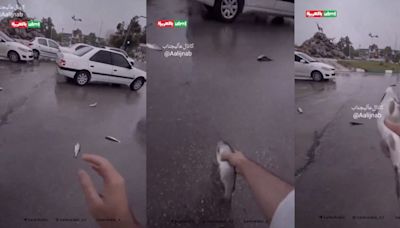 【異象片】伊朗城市突降「魚雨」打亂交通 專家揭密異象原因 - 鏡週刊 Mirror Media