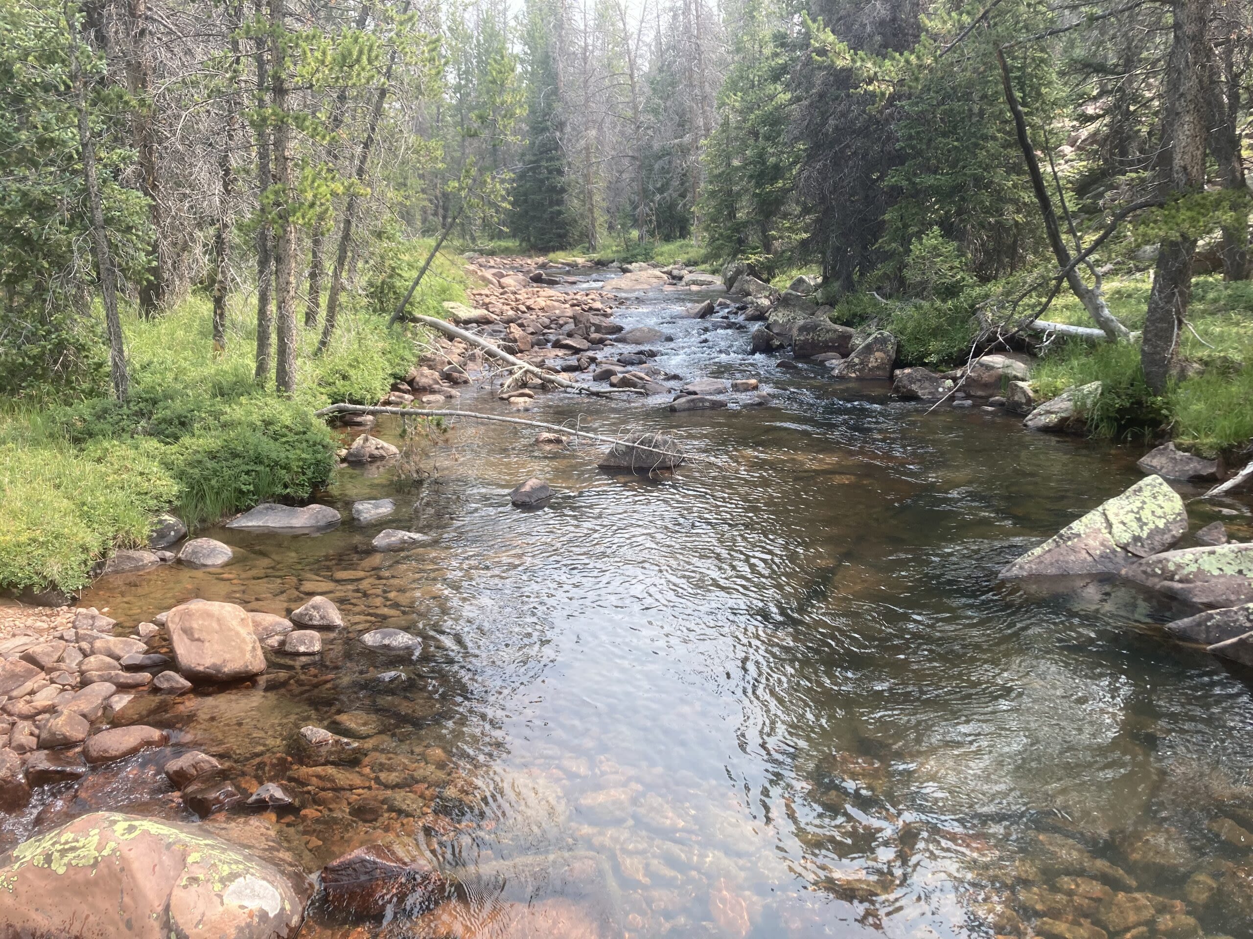 Headed to the mountains? Tips for stream fishing in Utah this summer - The Times-Independent