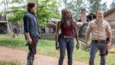 Daryl, Maggie, Negan, Rick and Michonne Live On: Your Guide to Every 'The Walking Dead' Spinoff Series