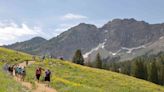 Experts Say This Summer Will Be One of the Best Wildflower Seasons on Record — Here Are 6 Places to See the Blooms