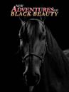 New Adventures of Black Beauty
