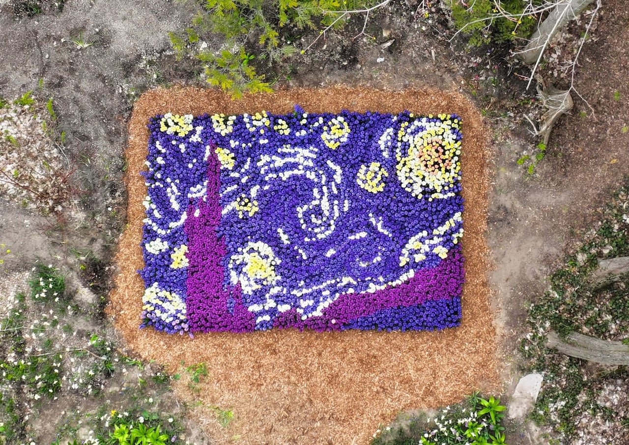 Thousands of flowers bloom into beautiful ‘Starry Night’ garden on Mackinac Island