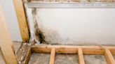 Does homeowners insurance cover mold?